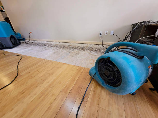 Professional Structural Drying technician working in Pamplico, SC